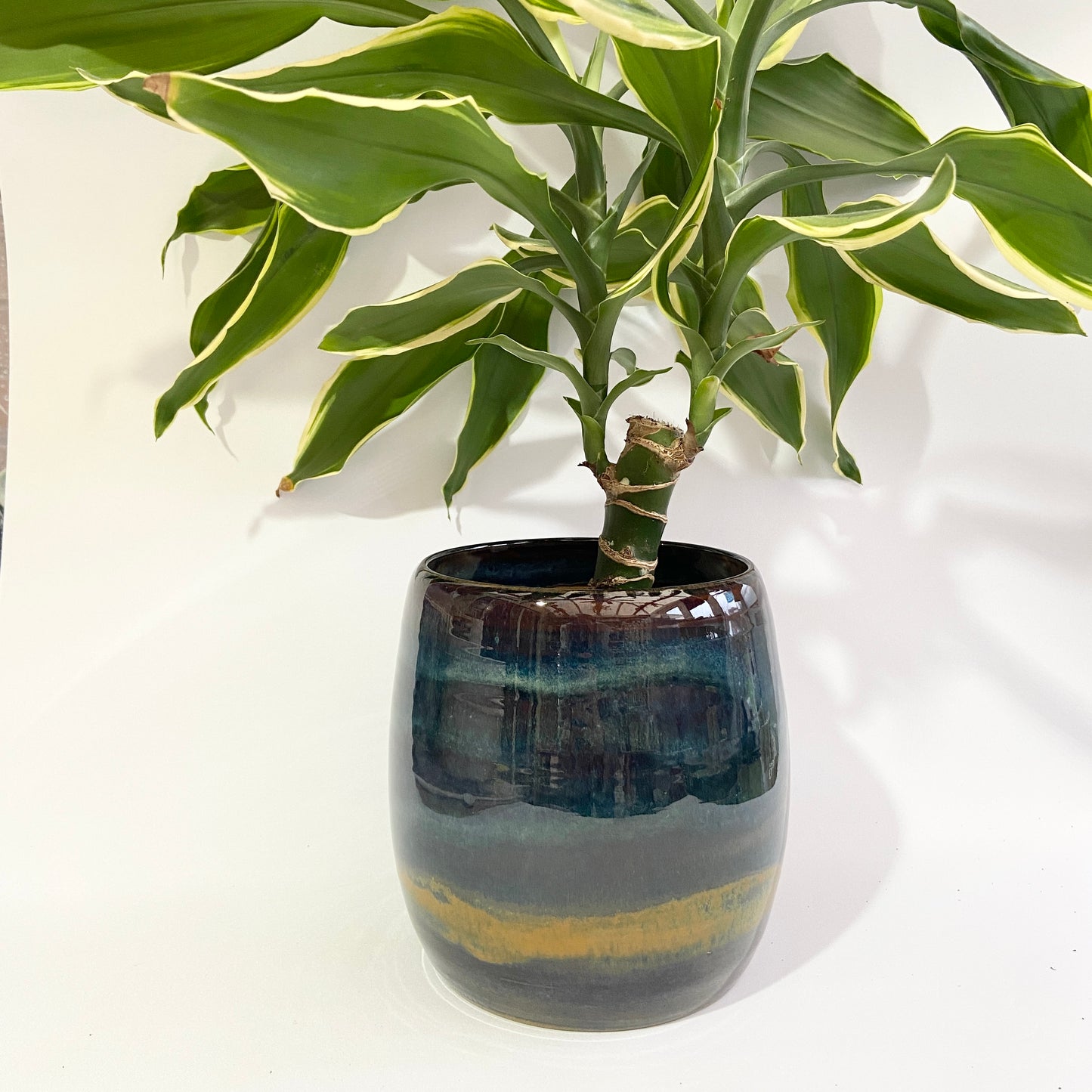 Planter - ‘Desert Nights’