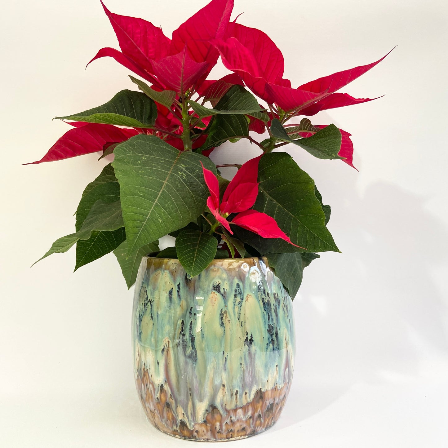 Planter - ‘Woodland Sands’