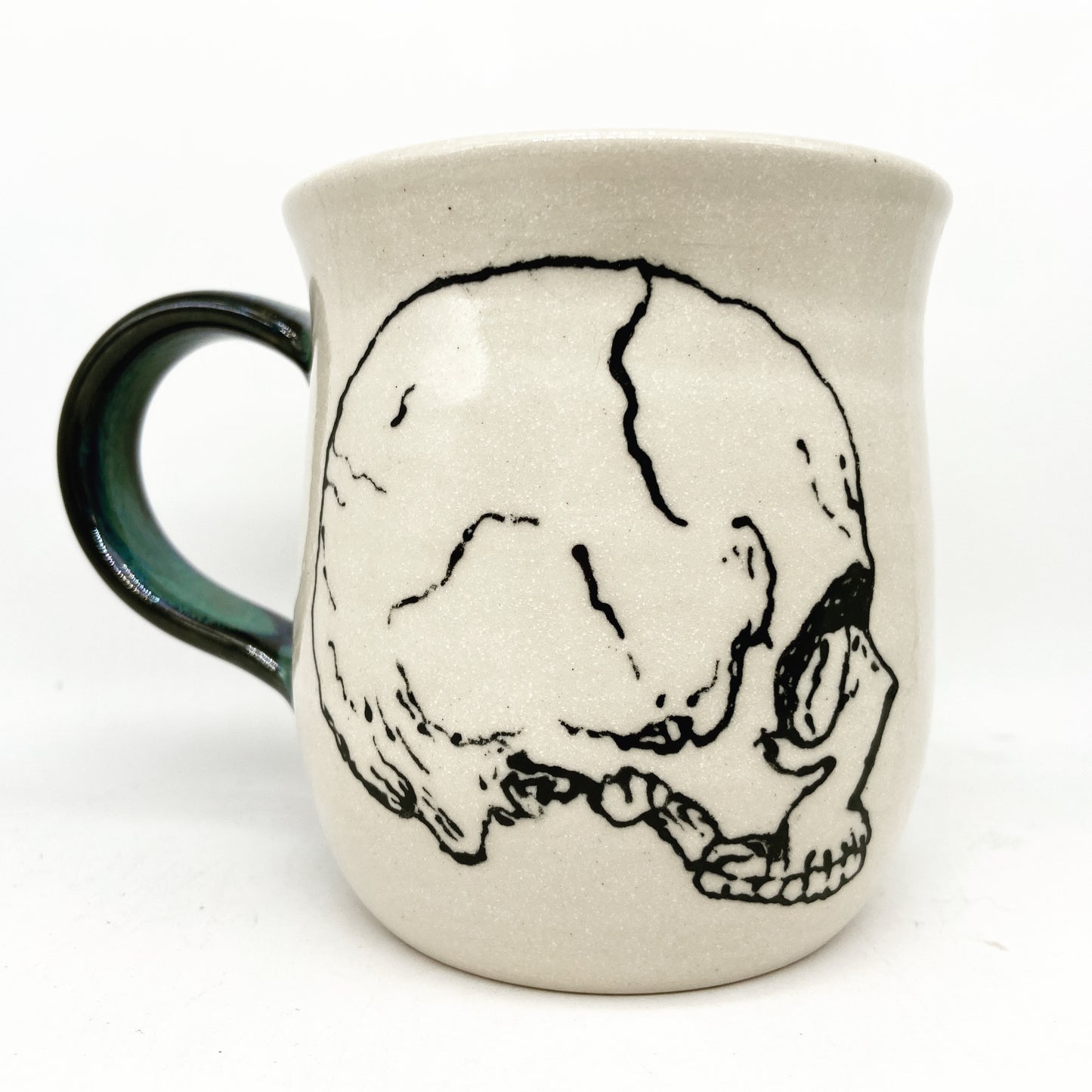 Anatomical Skull Mug