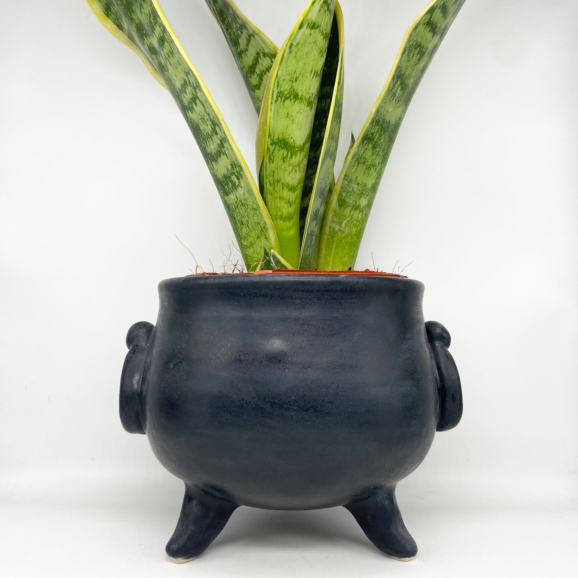 cauldron planter pots Planter