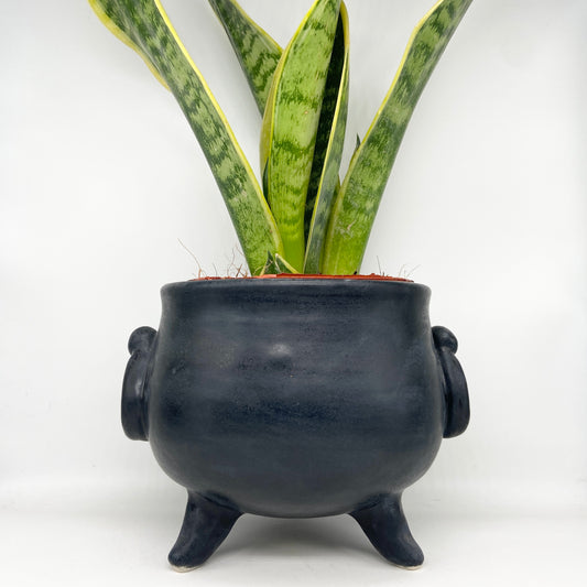 Cauldron Planter