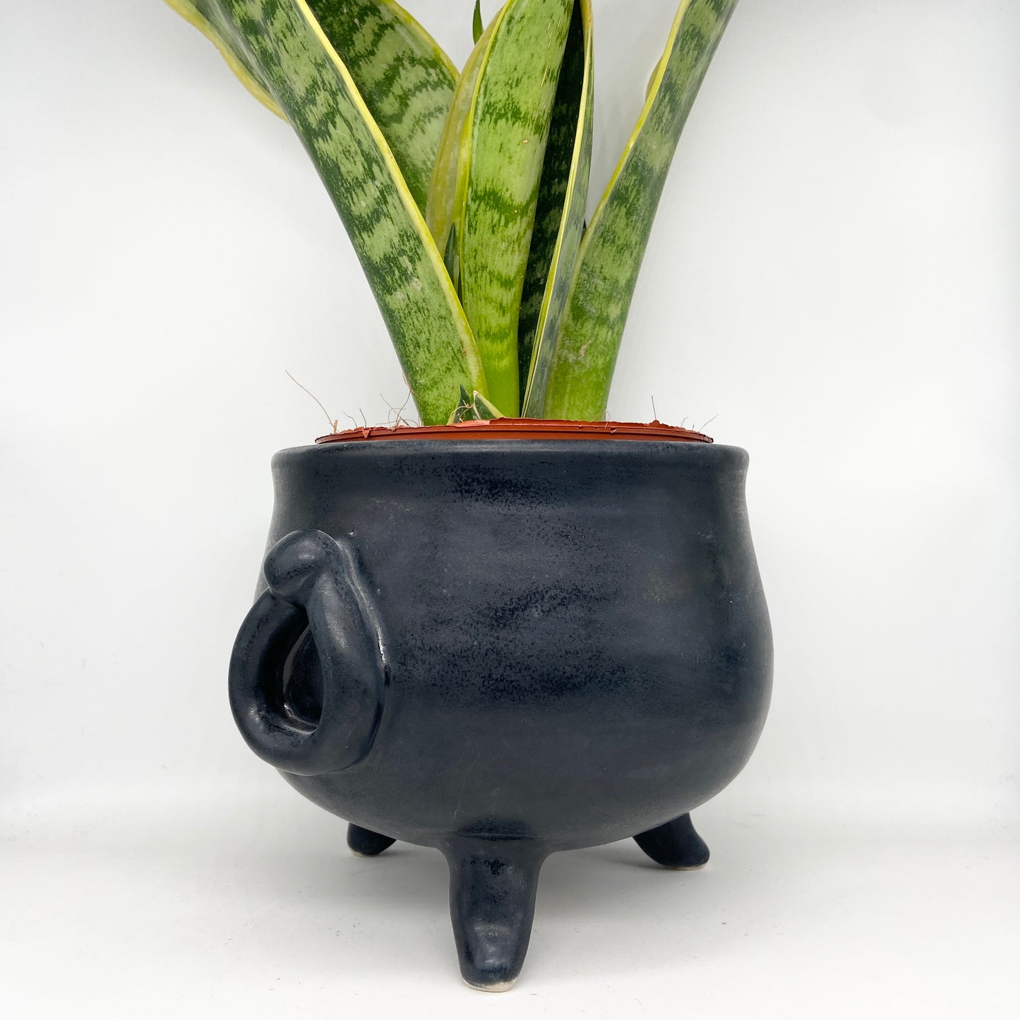 Cauldron Planter