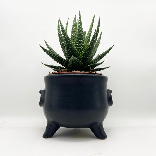 Planter - Cauldron (mini)