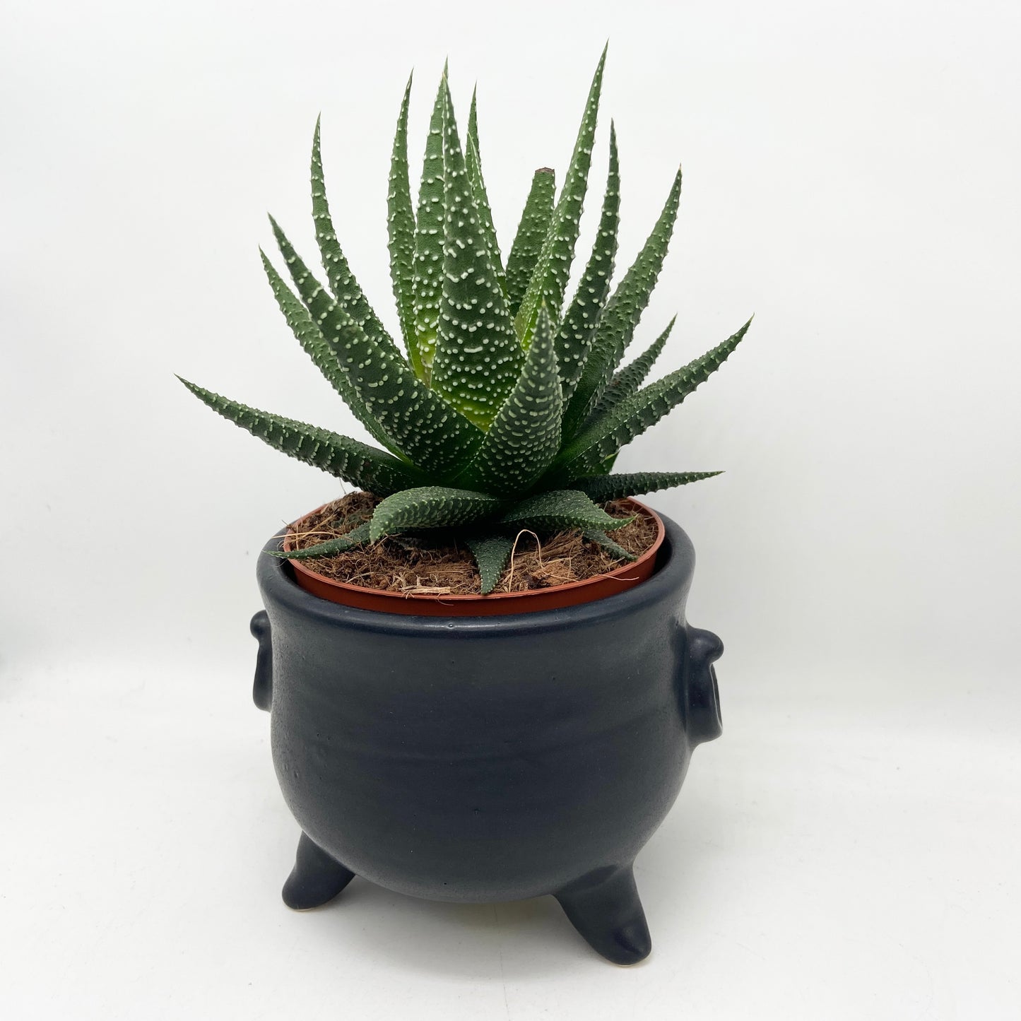 Planter - Cauldron (mini)