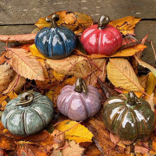 Pumpkin - ornamental